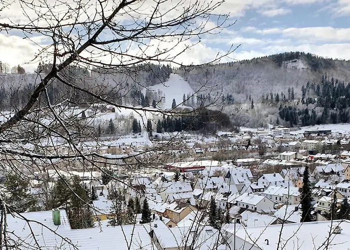 Studiowohnung Schwabenalb Mit Panoramablick * Albstadt